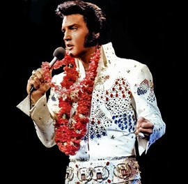Elvis Presley White Suit Greeting Fans Live On Stage  8x10 Glossy Photo 