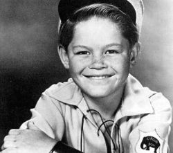 micky dolenz description